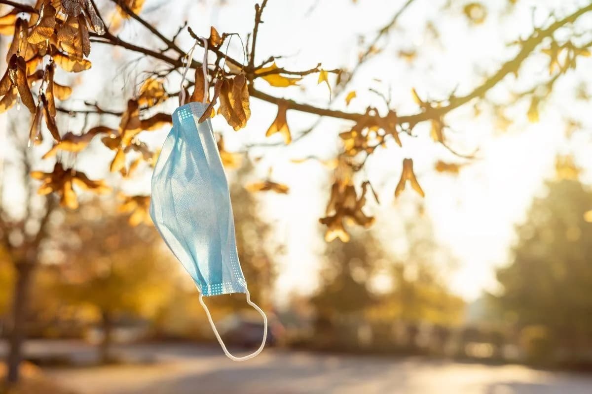 Toronto Star article preview